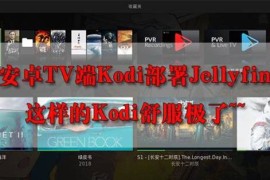 安卓TV端Kodi部署Jellyfin，使用Jellyfin打造最强媒体中心