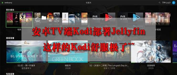 安卓TV端Kodi部署Jellyfin，使用Jellyfin打造最强媒体中心