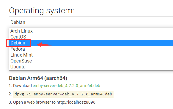 Proxmox (PVE)7.1虚拟化下直接安装EMBY支持硬解码 群晖NFS挂载