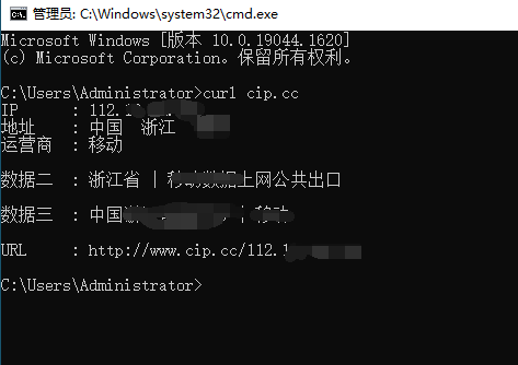 用命令行快速查公网IP